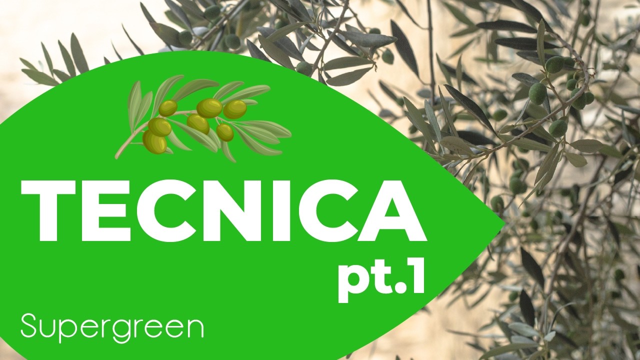 1-Produzione olio extravergine di oliva-Potatura olivo e raccolta olive-La strana tecnica di Ernesto