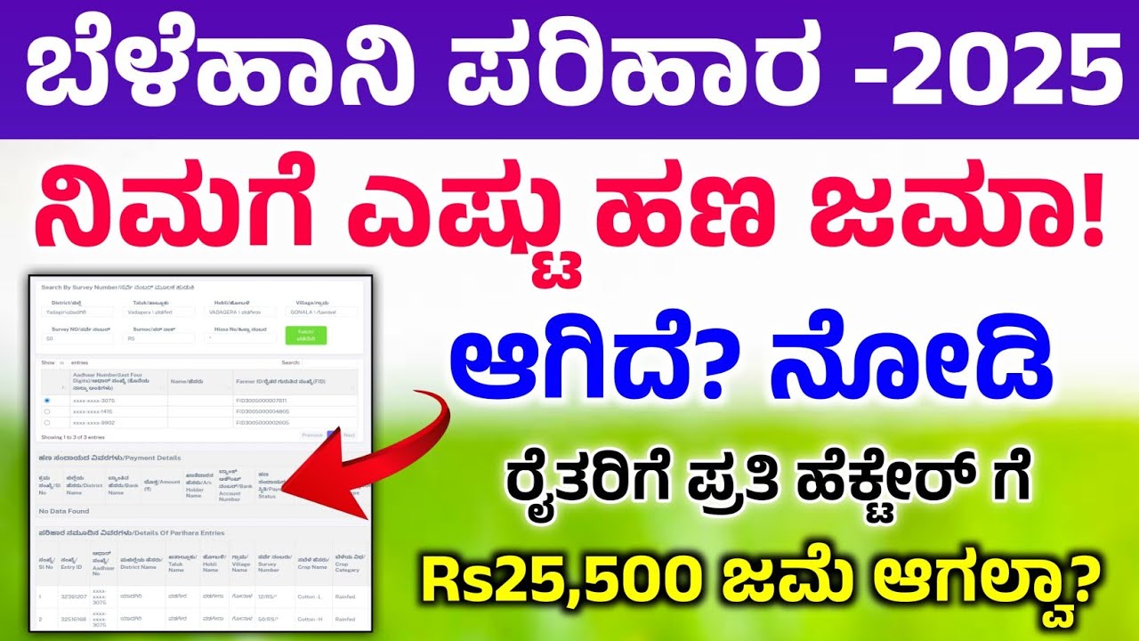 ಬೆಳೆಹಾನಿ ಪರಿಹಾರ ರೈತರಿಗೆ ಎಷ್ಟು ಹಣ ಜಮಾ ಆಗಿದೆ? ನೋಡಿ | Bele Parihara payment 2025