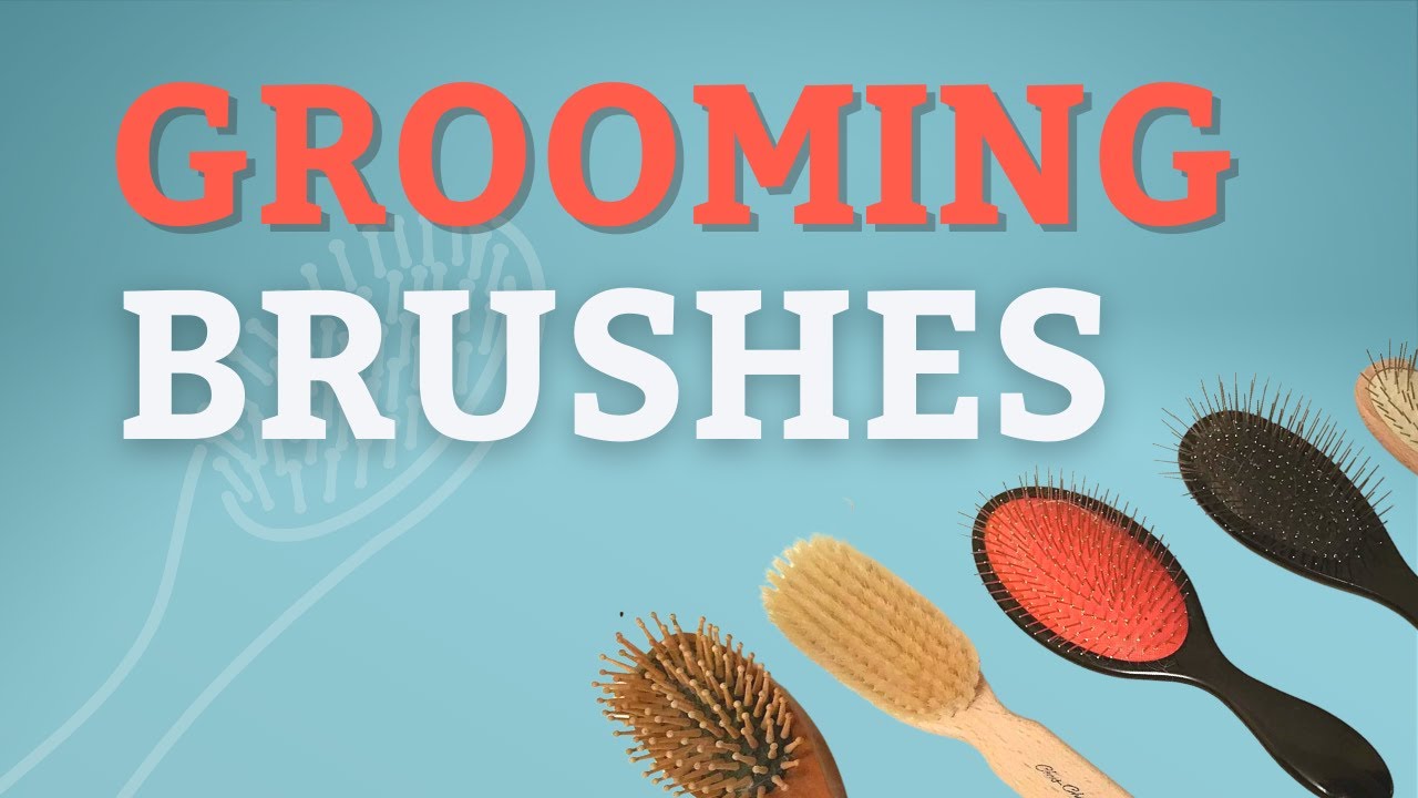 Dog Grooming Brushes to Groom at Home