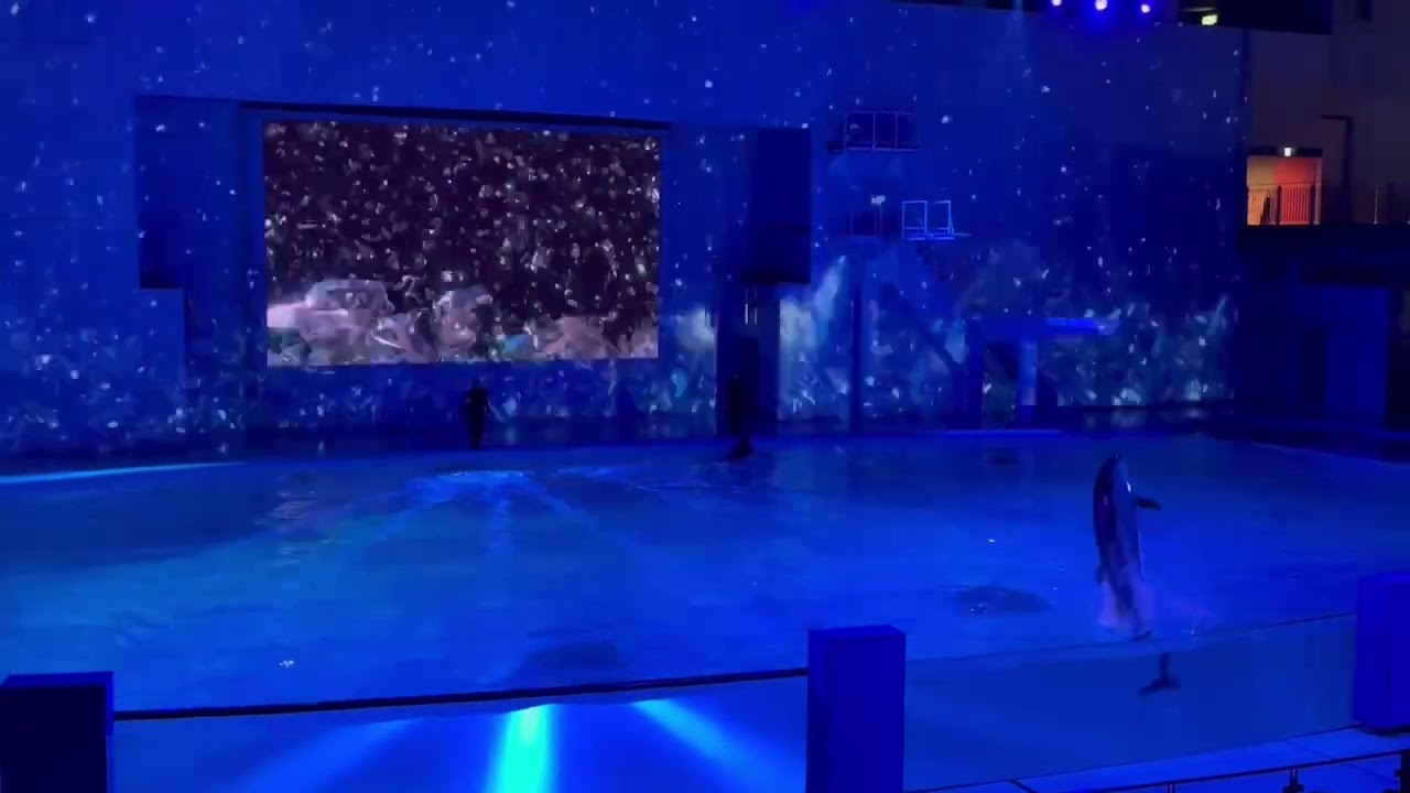 横浜八景島シーパラダイス