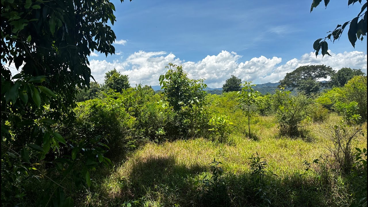 En venta Manzanas de tierra Valle de Zapotitan | CRV EL SALVADOR