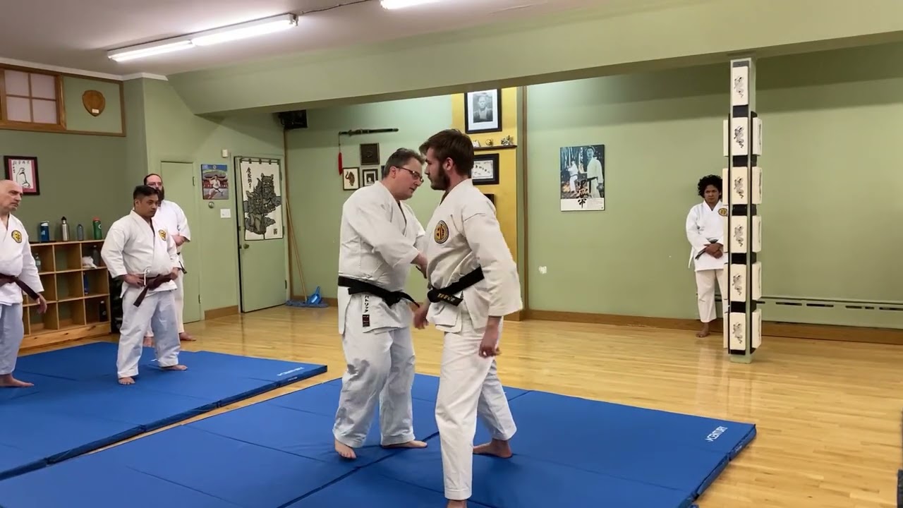 Meibukan Goju Ryu Karate Sanseiryu Sokuto