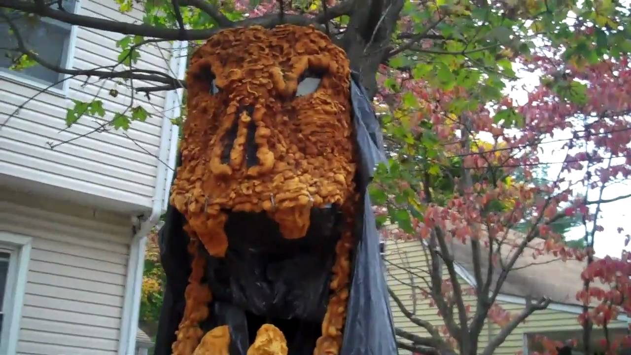 My Halloween Decorations