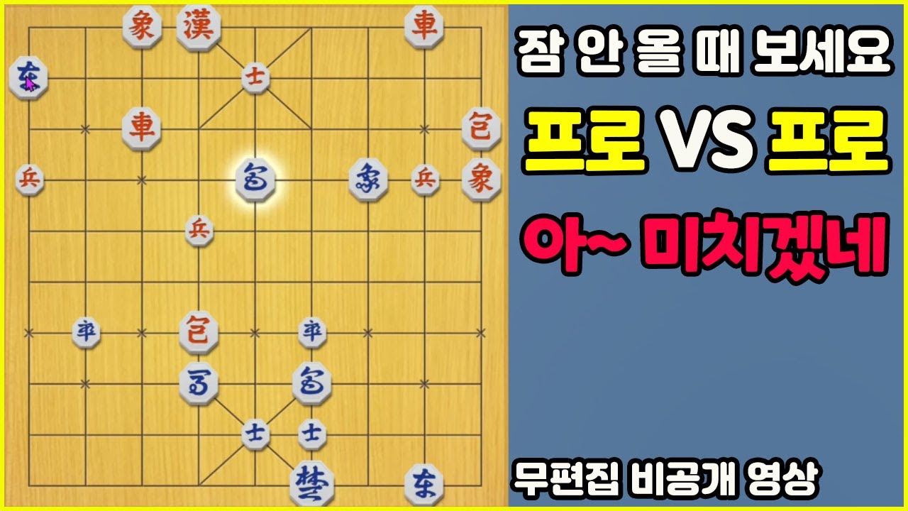 [잠 안 올 때 보세요] 정상급 프로 대국에서 이럴 수가 있나?