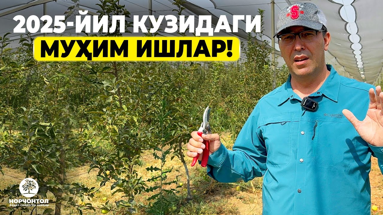 КУЗДА ДОРИЛАШ ВА КЕСИШ КЕРАКМИ? | ШУҲРАТ АБРОРОВ #shuhratabrorov #kuz #kesish #dorilash