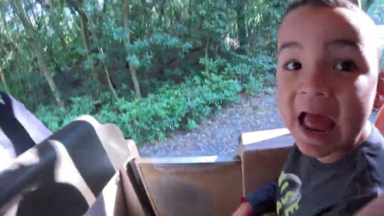 The Toney Bros Animal kingdom Kilimanjaro Safaris #disneyworld