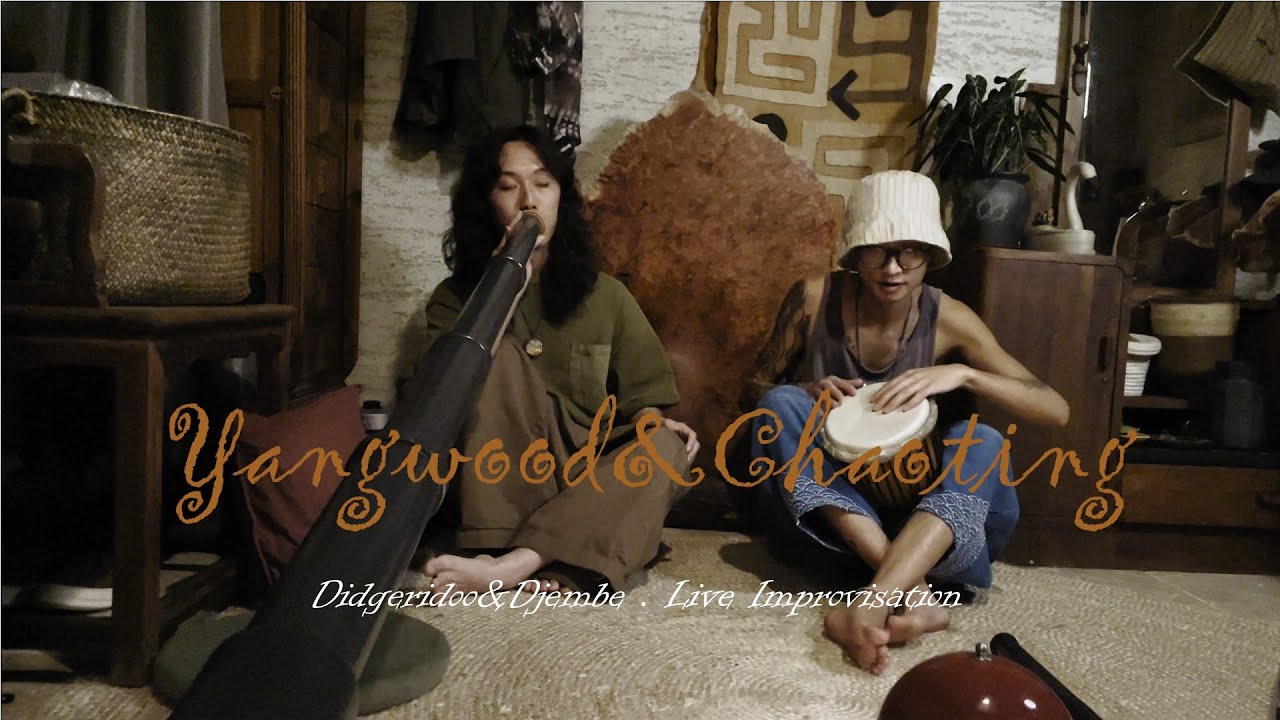Yangwood .Chaoting _Didgeridoo & Djembe | Chillhop | Original rhythm | Downtempo_Live improvisation