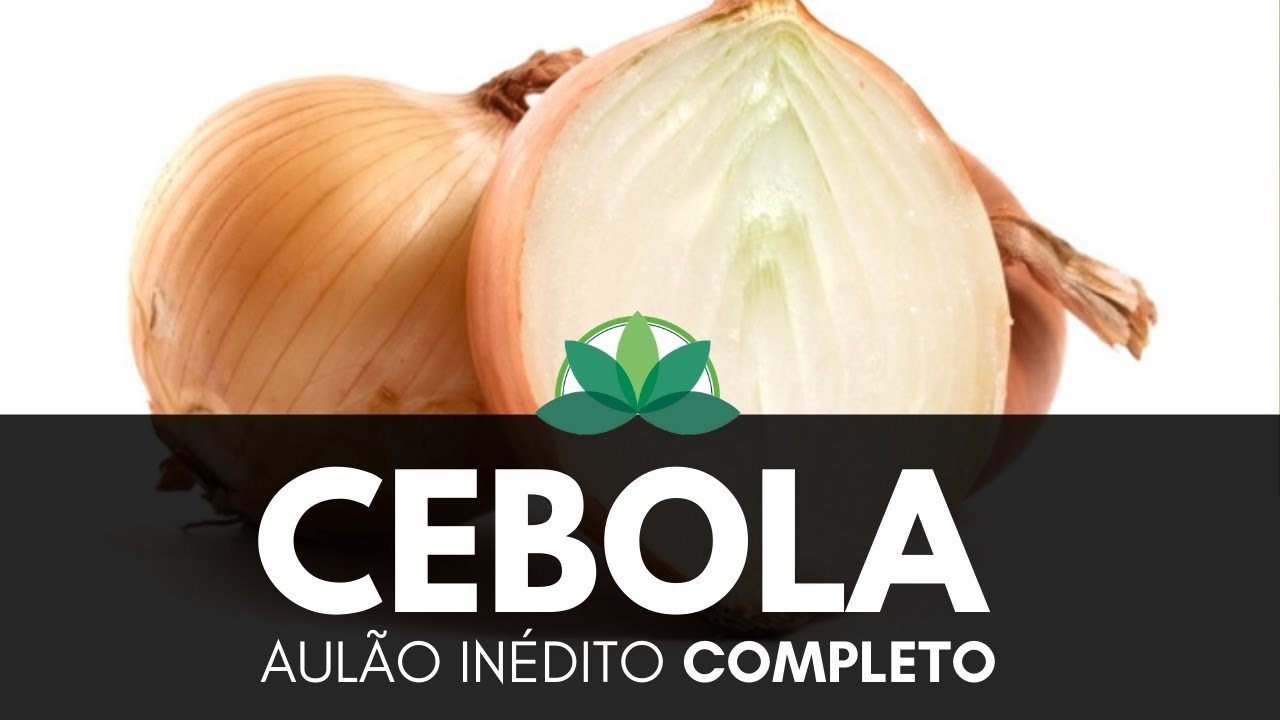 Aul&atilde;o IN&Eacute;DITO sobre a Cebola... Um SUPER tratamento na sua COZINHA!