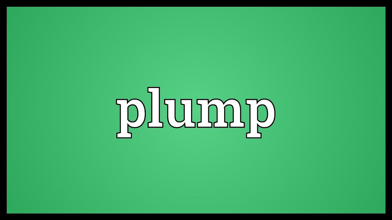 Plump Meaning