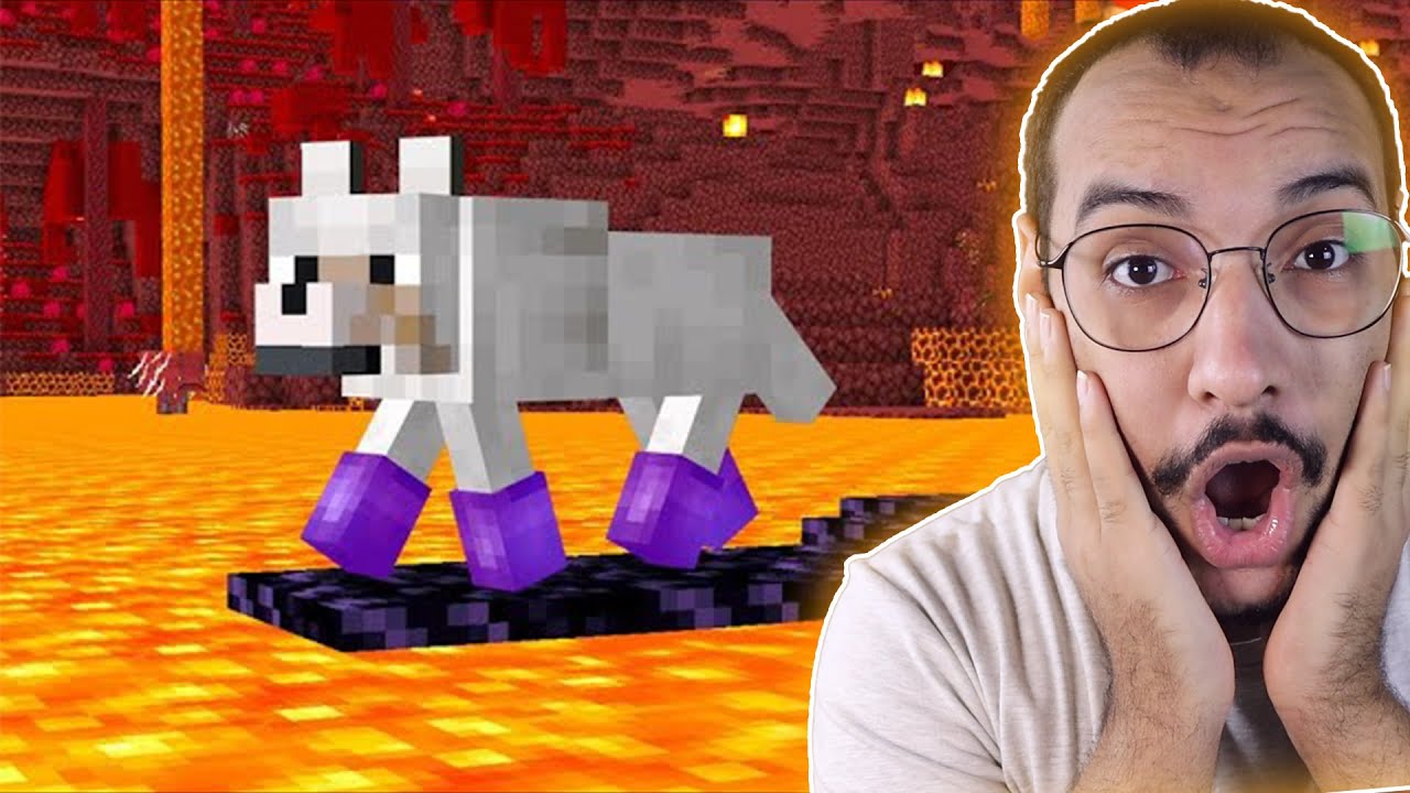 تجربة افضل خدع التيك توك في ماين كرافت ! ( الكلب الخارق )