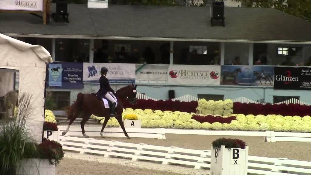 Adriane Alvord and Mondavi F Dressage at Devon U25 GP freestyle