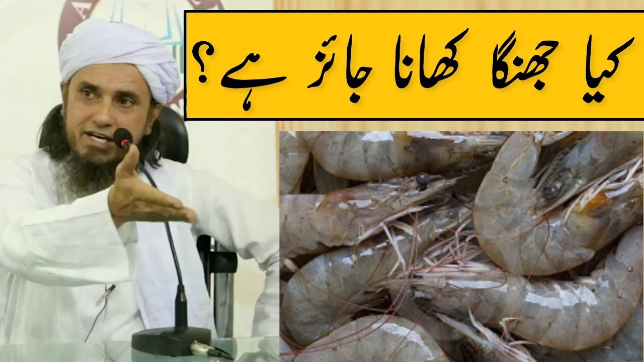 Kya Jhinga (Prawns) Khana Jaiz Hai? Mufti Tariq Masood | Islamic Group