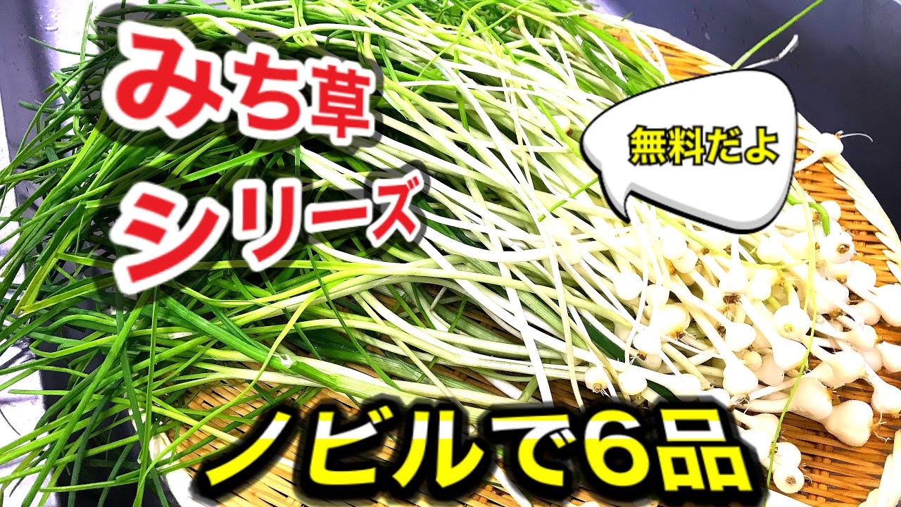 野草シリーズ！野蒜（ノビル）で６品！おつまみ　白米両方に合う！おいしいレシピ