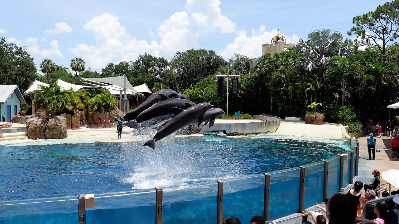 Day 4 - Water World