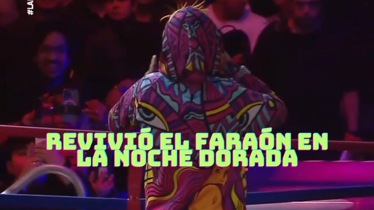 Revivió El Faraón En La Noche Dorada #faraónloveshady #zein #lanochedorada
