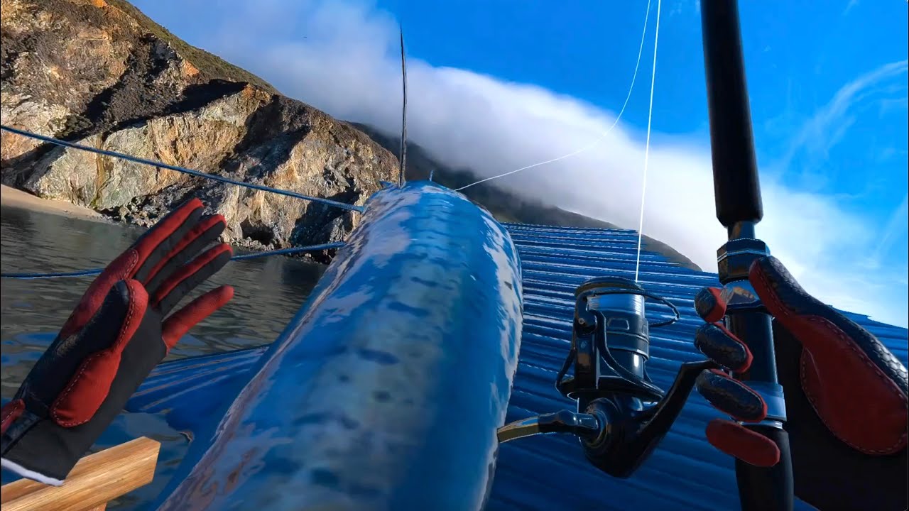 Real VR Fishing. Pacific Sailfish and Great White Shark. Olympia Journey.🎣