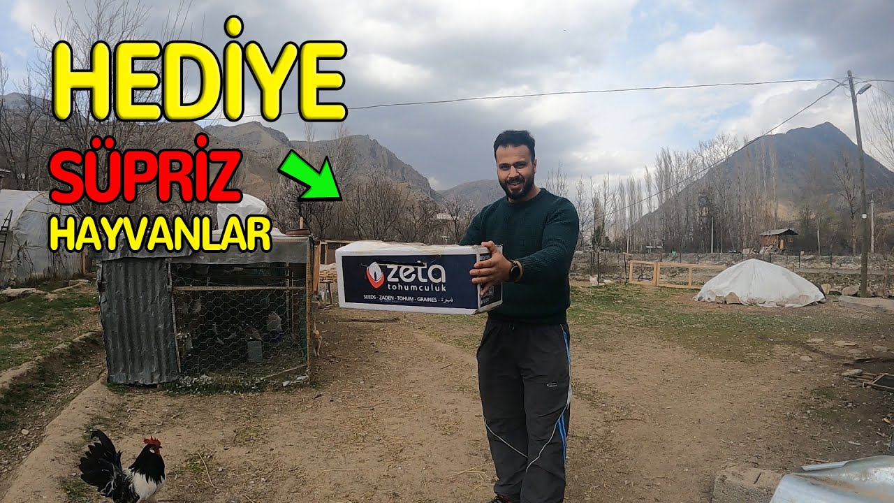 ANTALYA'DAN HEDİYE GELEN SÜPRİZ HAYVANLAR