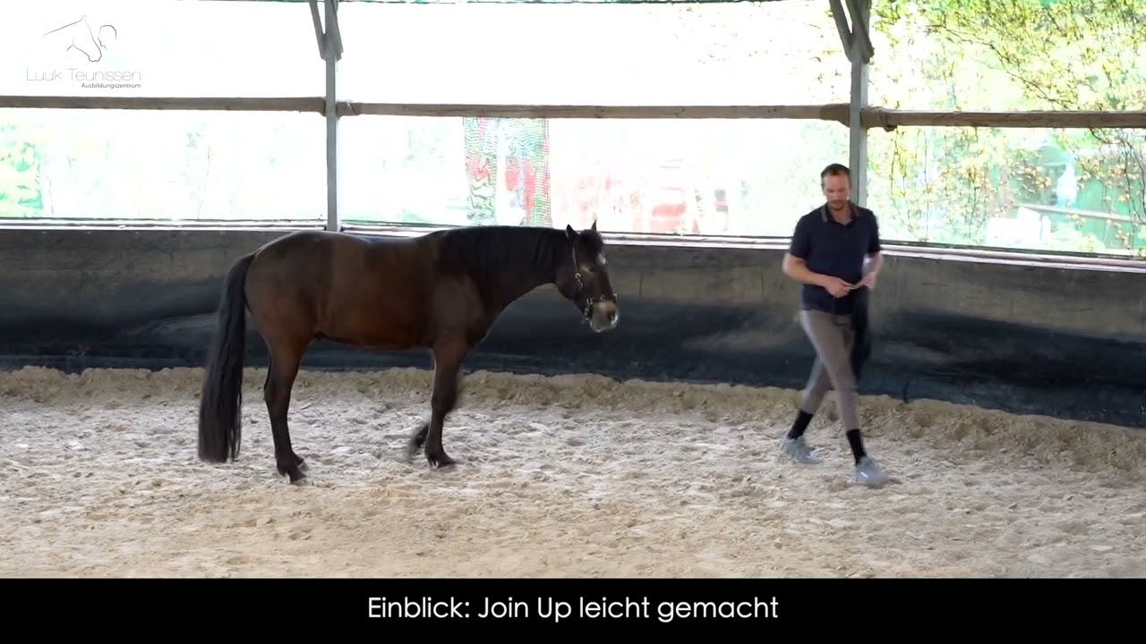 JOIN UP nach Monty Roberts