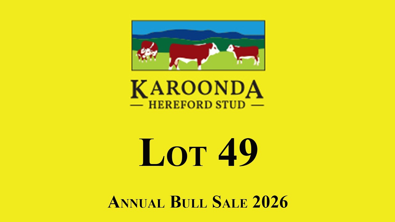 Lot 49 SKSV987 Karoonda 2026