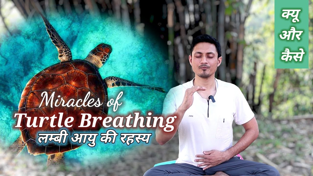Uncover the Secret of Long Youth - Turtle Breathing!