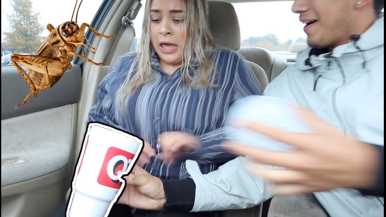 EXTREME INSECT PRANK ON GIRLFRIEND!!! *she cries*