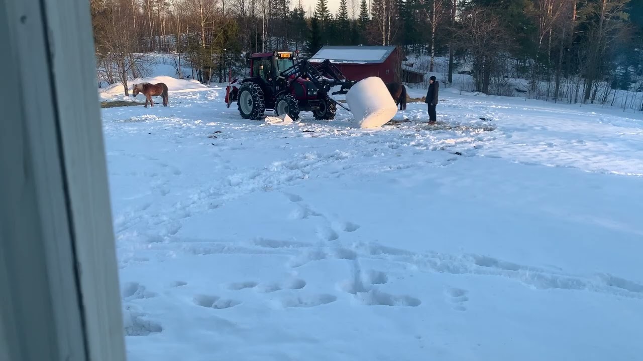 Wie plane ich meinen Tag auf der Ranch oder mein Leben, wenn ich kein Zeitgefühl habe?