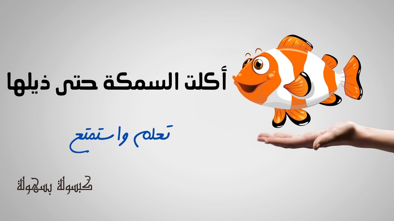 اعراب جملة اكلت السمكة حتى ذيلها - إعراب جملة 