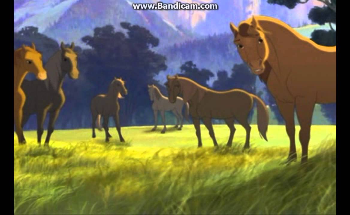 【小馬王Spirit】小馬王出世了+好聽插曲