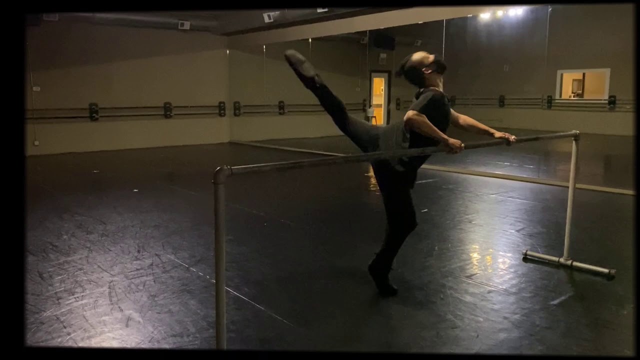 DIPR Contemporary Barre by dionna pridGeon
