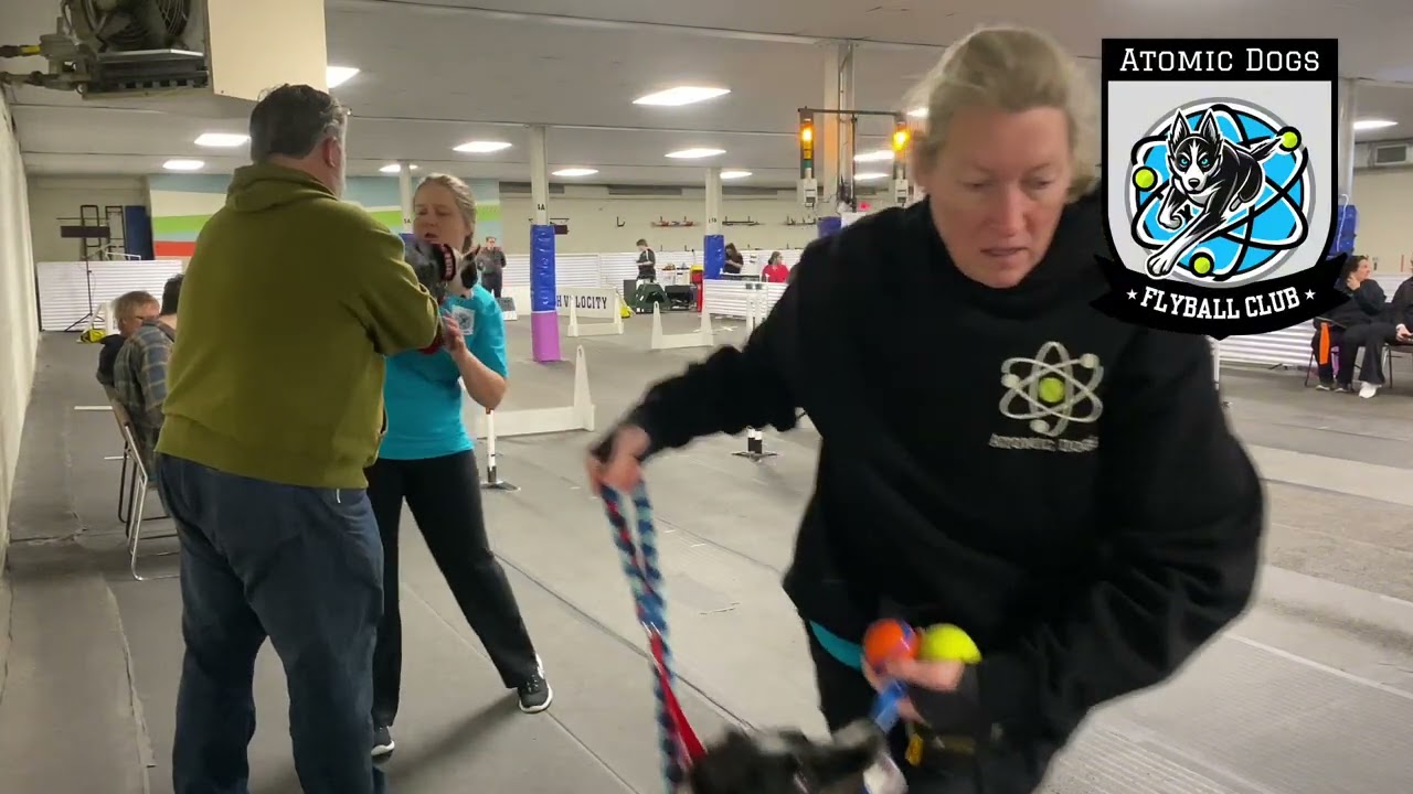 1/10/26 Race 10- Atomic Dogs Flyball Club {Bombs Away} // Balls Out Crossing Borders Tournament