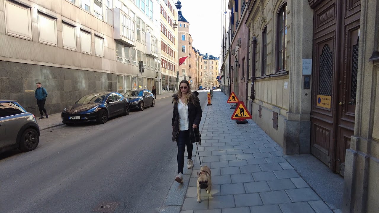 Sweden, Stockholm - Walking in Vasastan (with Olov) | Odenplan to Norra Latin 4k 60fps  #401