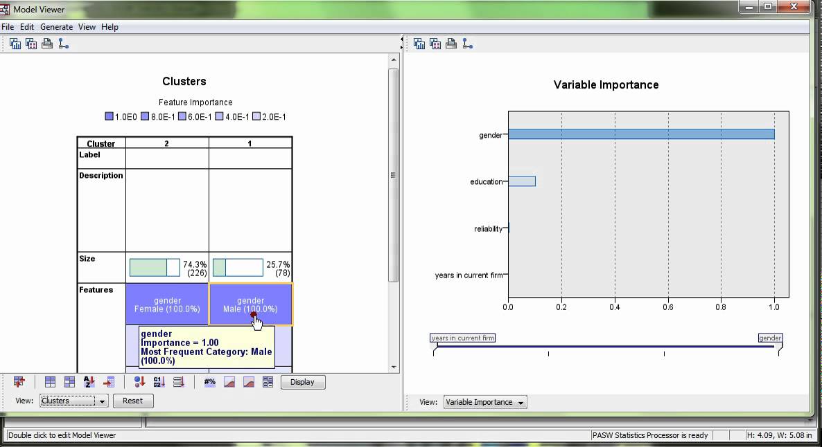Two-step Cluster Analysis in SPSS