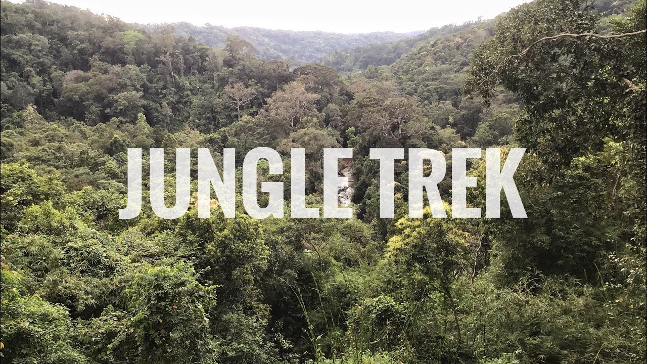 Cambodia Travel Vlog 020 - 12 Mile Jungle Trek! Mondulkiri Project