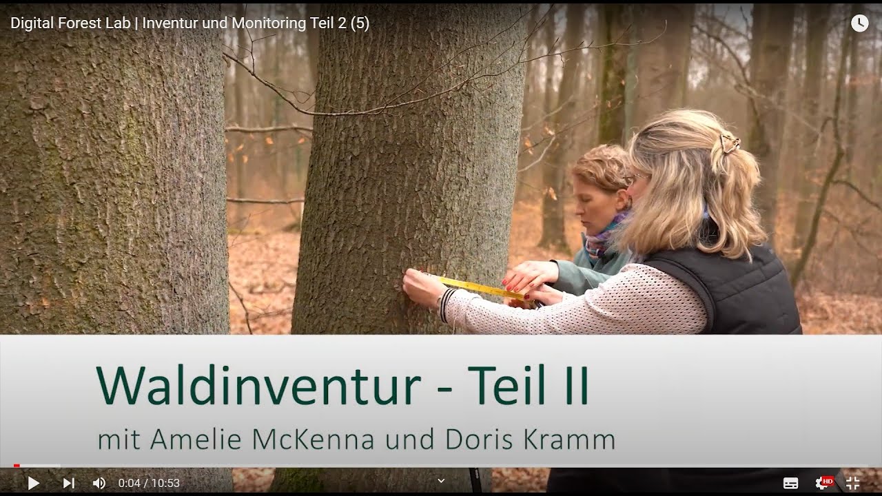 Digital Forest Lab | Inventur Teil 1 (5)
