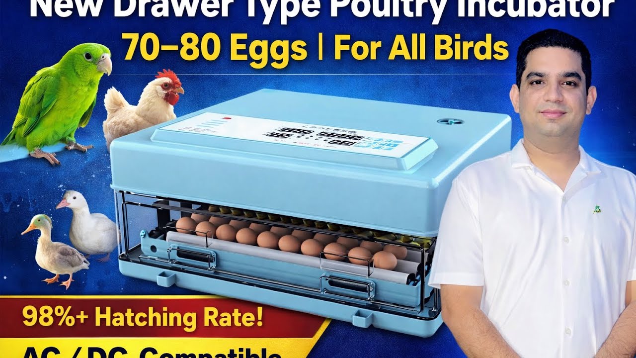 New Drawer Type Poultry Incubator | 70–80 Eggs | For All Birds | High Hatching Rate 03004444911 