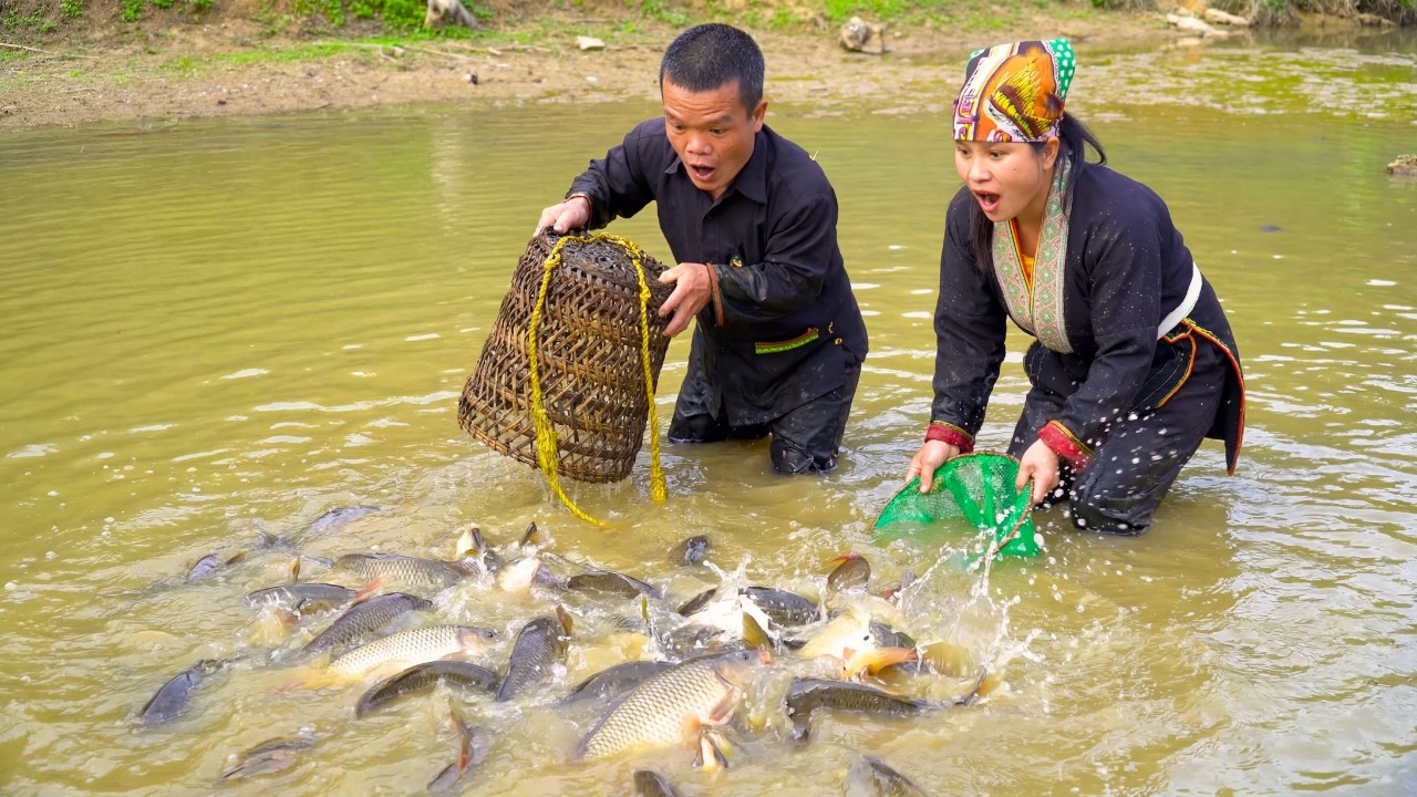 Dwarf Family Catches Many Catfish to Sell at the Village Market – Top Primitive Fishing Skills