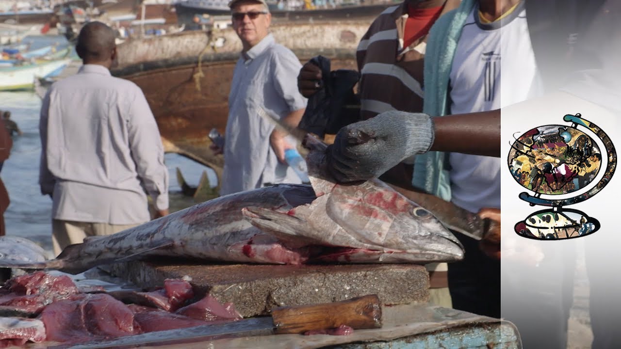 Somali Pirates Begin New Lives As Fishermen