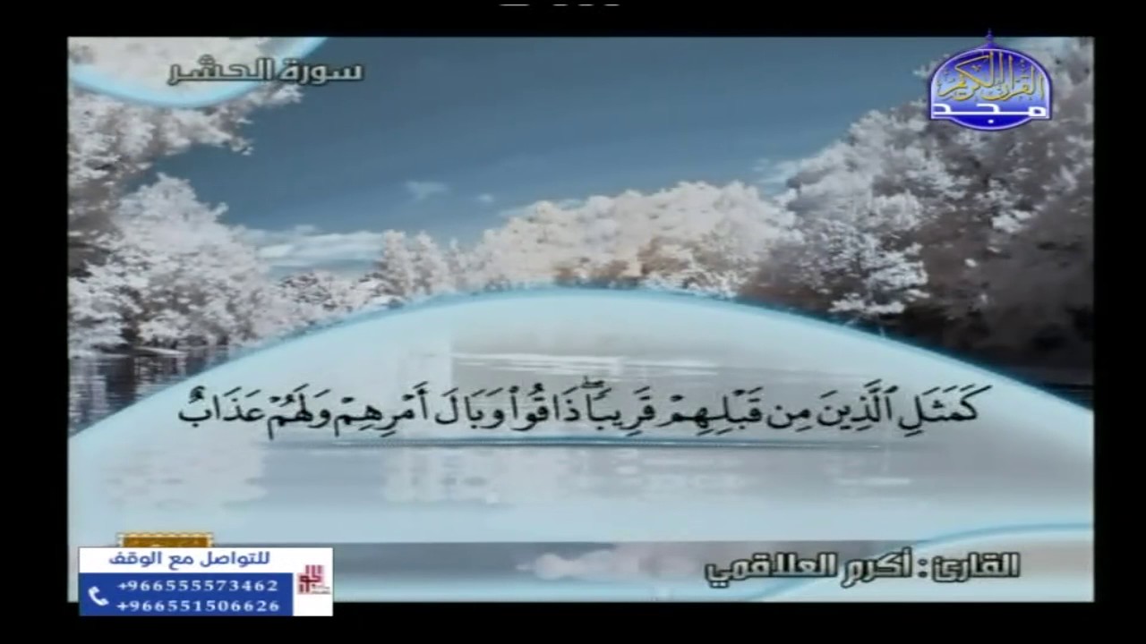 تلاوات متنوعة لمدة 3 ساعات من قناة المجد للقران الكريم