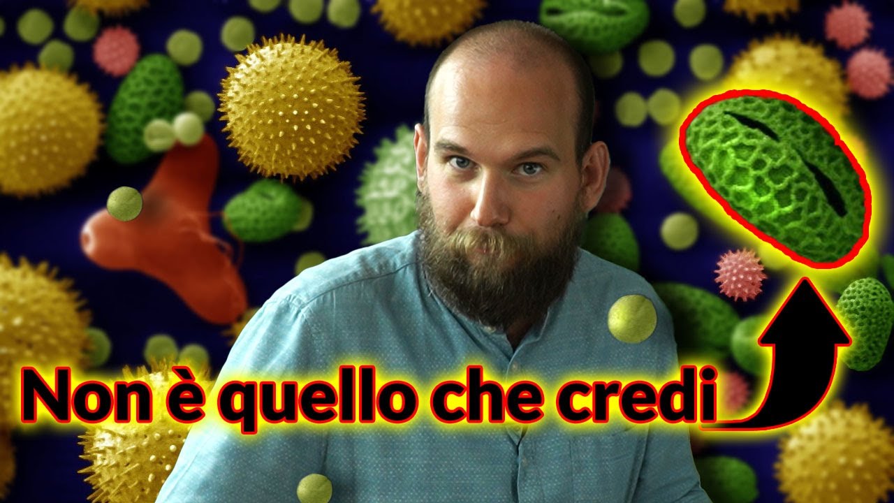 Il POLLINE non è quello che Pensi