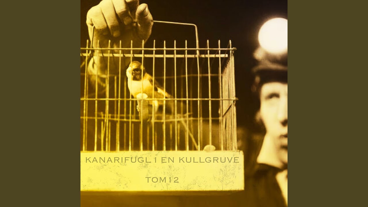 TENK AT VI BOR I SAMME LAND