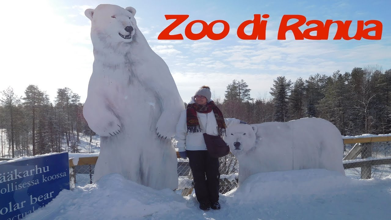 Lapponia, Zoo di Ranua (lo zoo più a nord d'Europa)