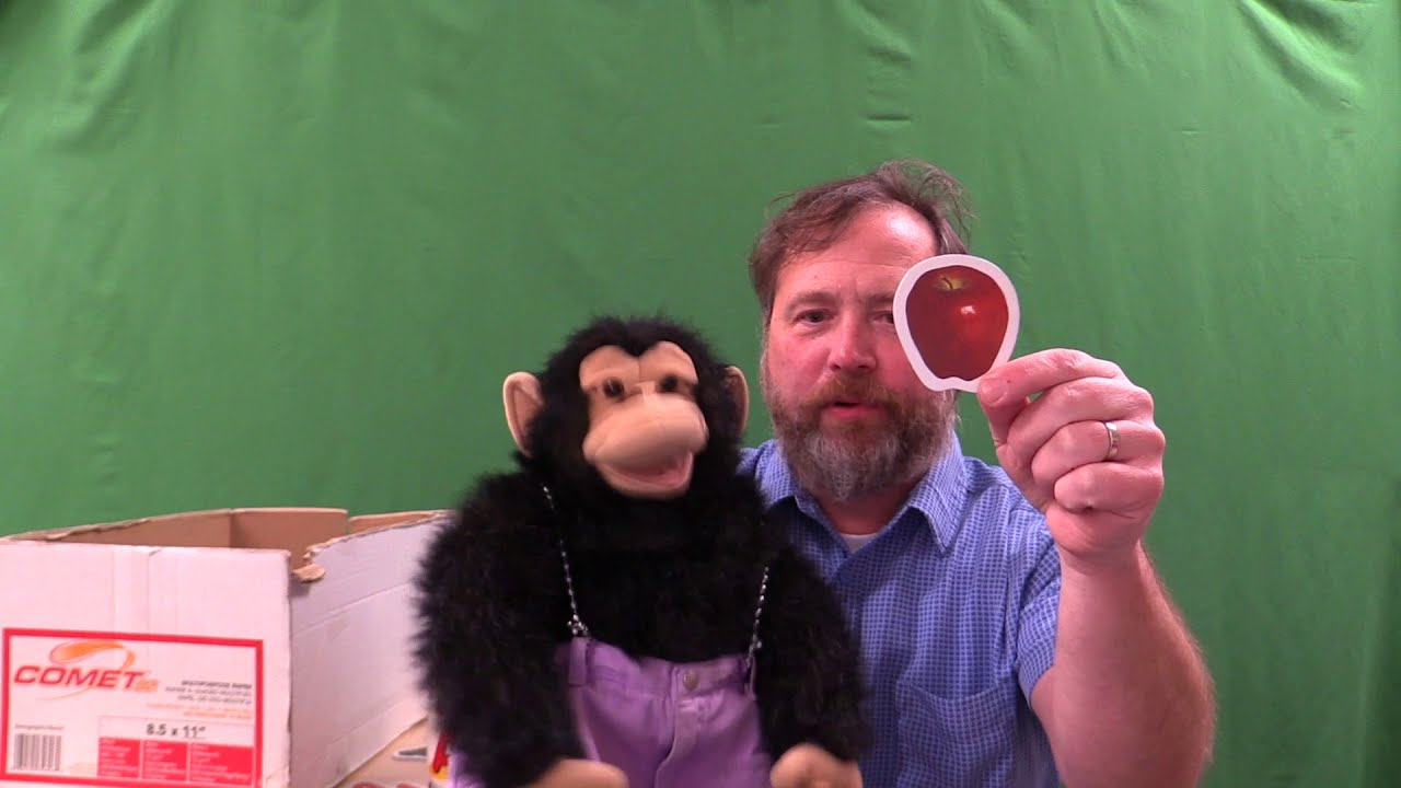 Preschool Storytime Live: The Letter A