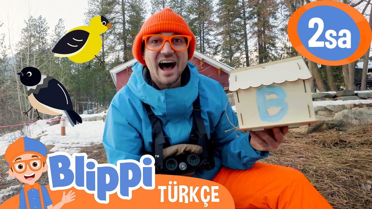 Blippi Kuş Gözleminde! 🐦 | Blippi Türkçe - Çocuklar için Eğitici Videolar