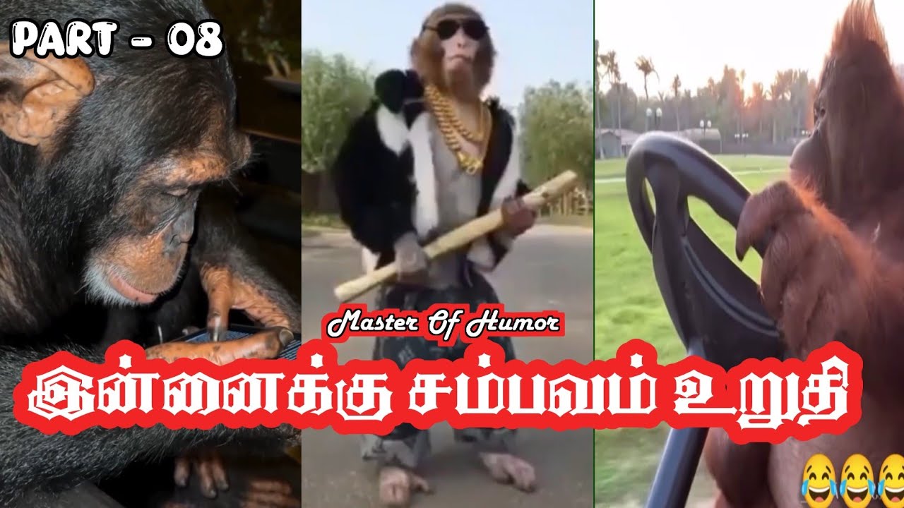 Part - 08 || நம்ம வாழ்க்கை வரண்டாலே போயிடும் போல 😂😂😂