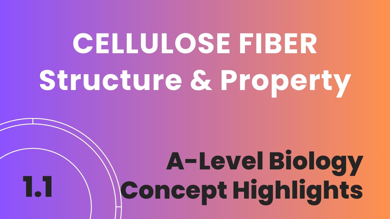 1.109 Cellulose chain to microfibril to fiber to cell wall #biomolecules #carbohydrates