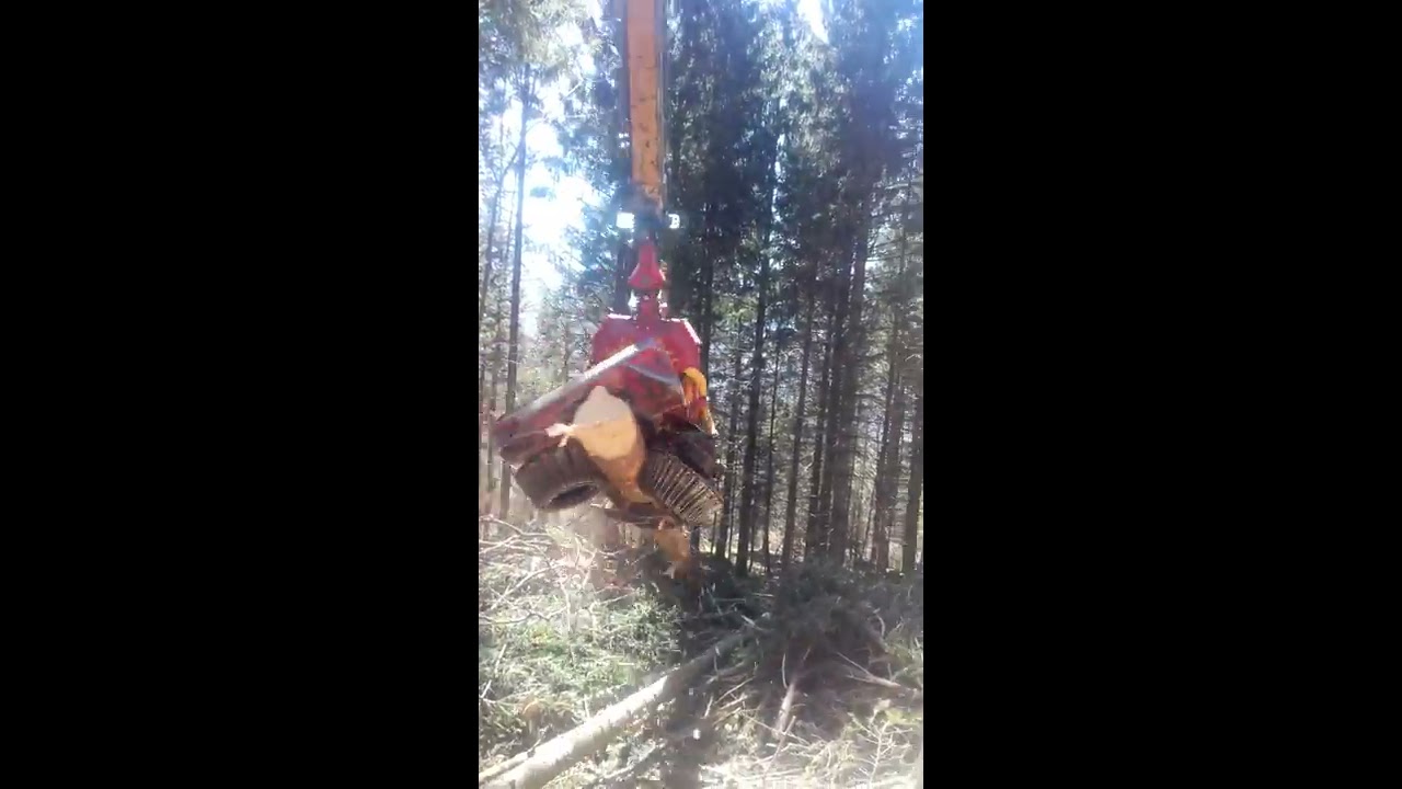 MM-Syncro, Woody 60, Durchforstung HOLZ PRILLER