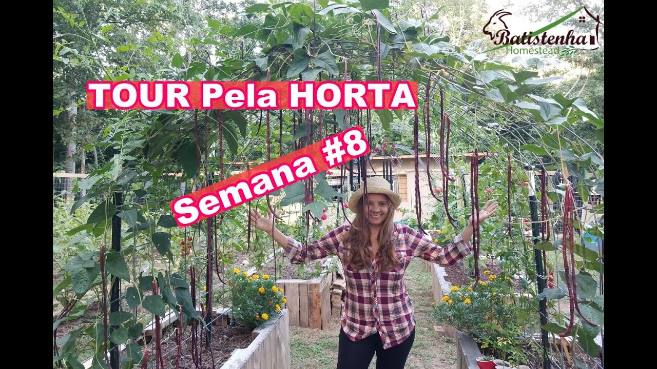TOUR Pela HORTA na Batistenha Semana #8 / GARDEN TOUR at Batistenha Week #8