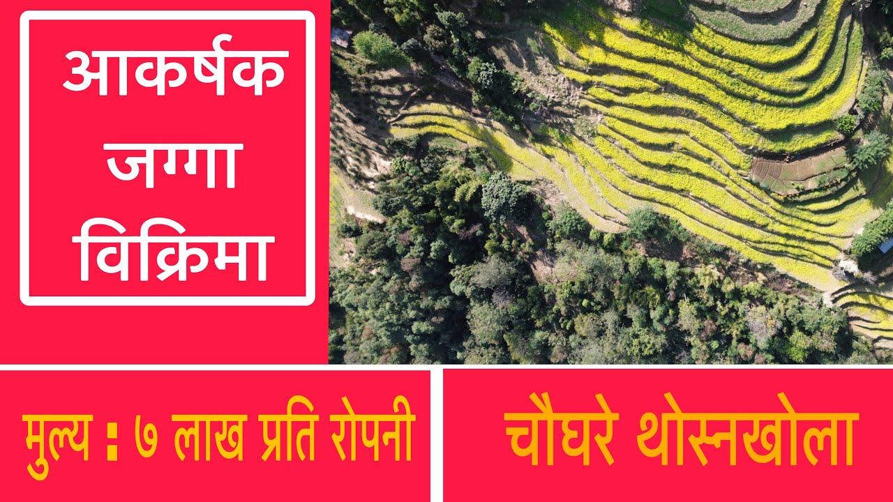 Land on sale at Chaughare Thosnekhola 