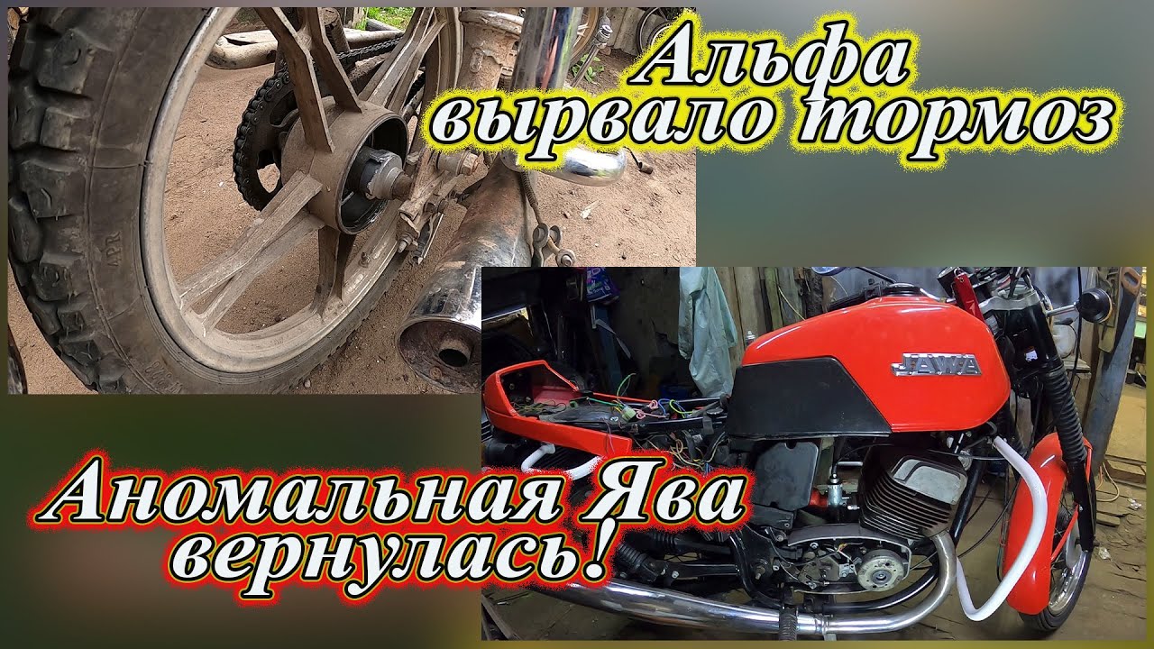 Альфа вырвало тормоз. Аномальная Ява вернулась!