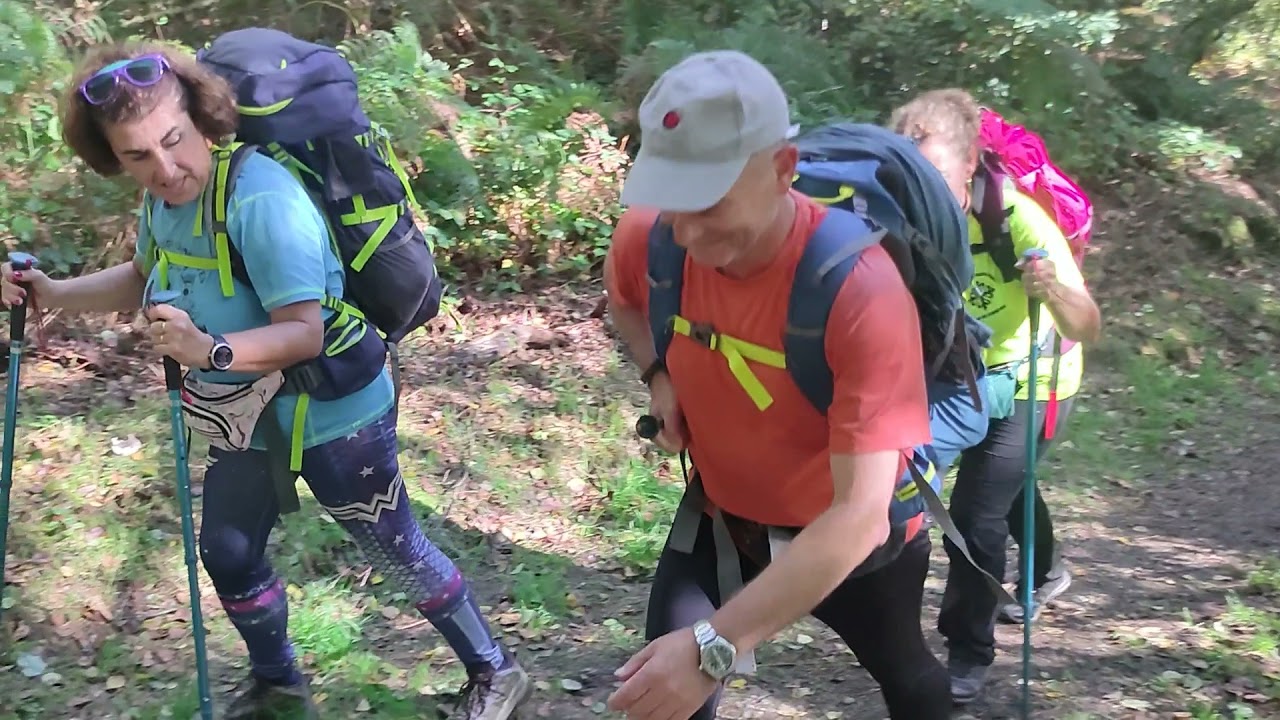 Camino Primitivo 2021